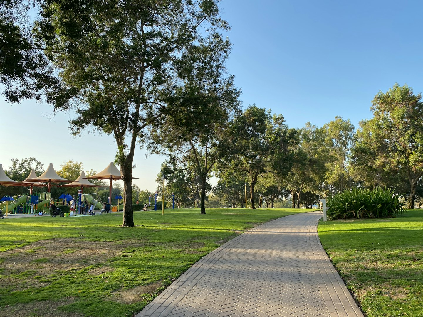 Ein gewundener Weg führt durch einen Park zu einem Spielplatz.